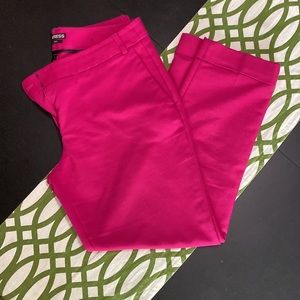 Express Editor pant bundle